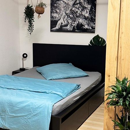 Zentrumnah Inklusive Parkplatz Jungle-Suite By Rentigo - Ruheoase Im Herzen Von Saarbruecken! Eksteriør bilde