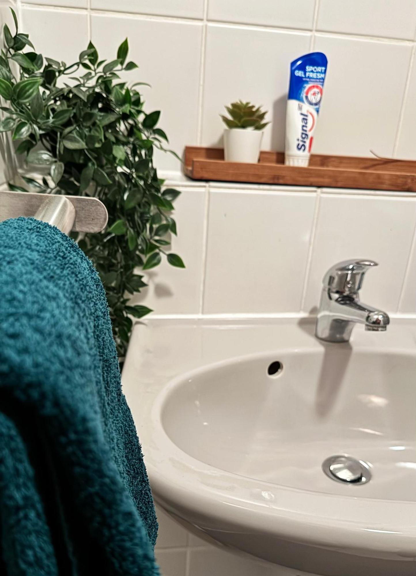 Zentrumnah Inklusive Parkplatz Jungle-Suite By Rentigo - Ruheoase Im Herzen Von Saarbruecken! Eksteriør bilde